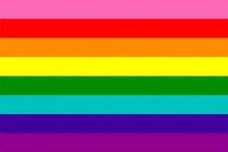 ALL THE GAY FLAGS: THE EVOLUTION