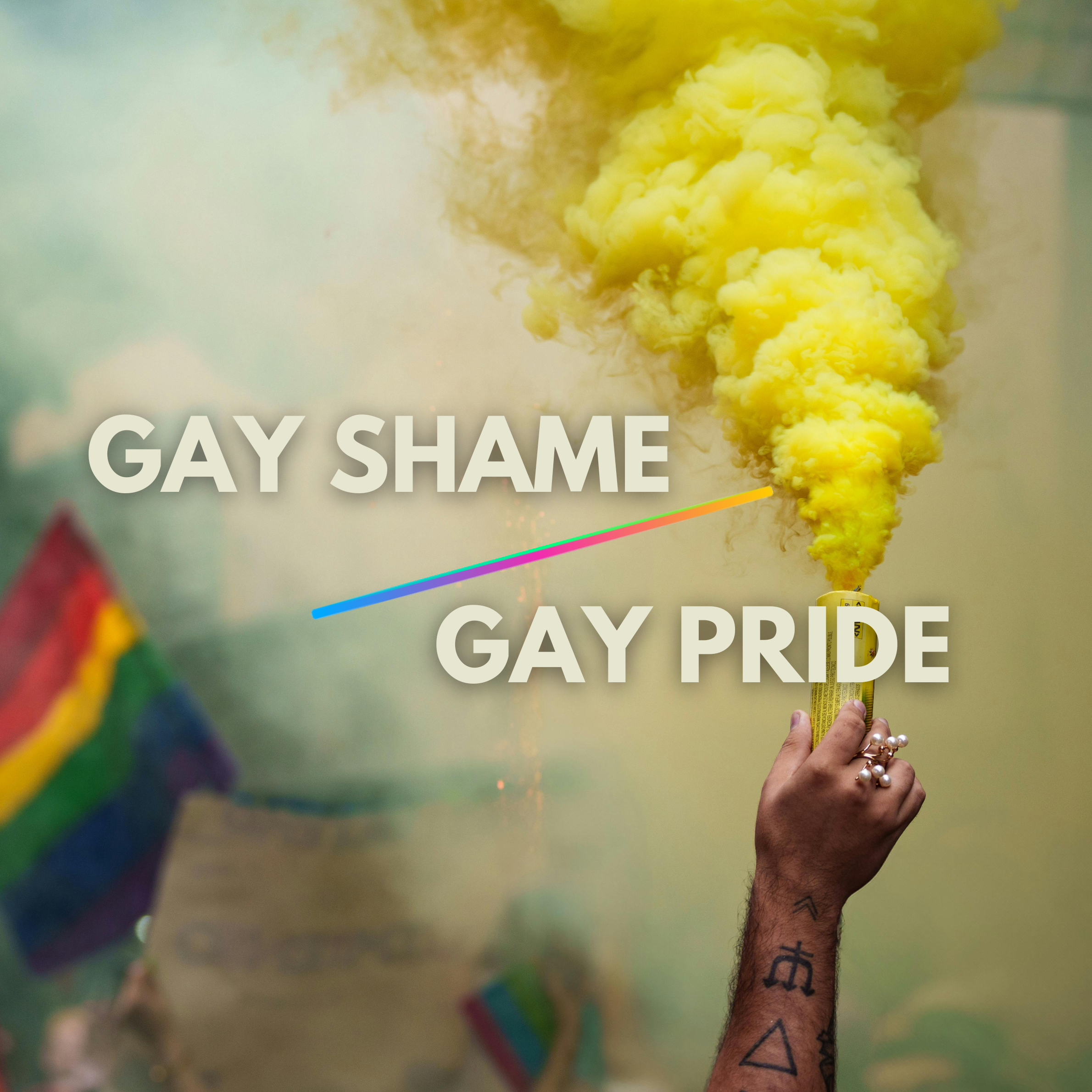 Gay Shame vs Gay Pride