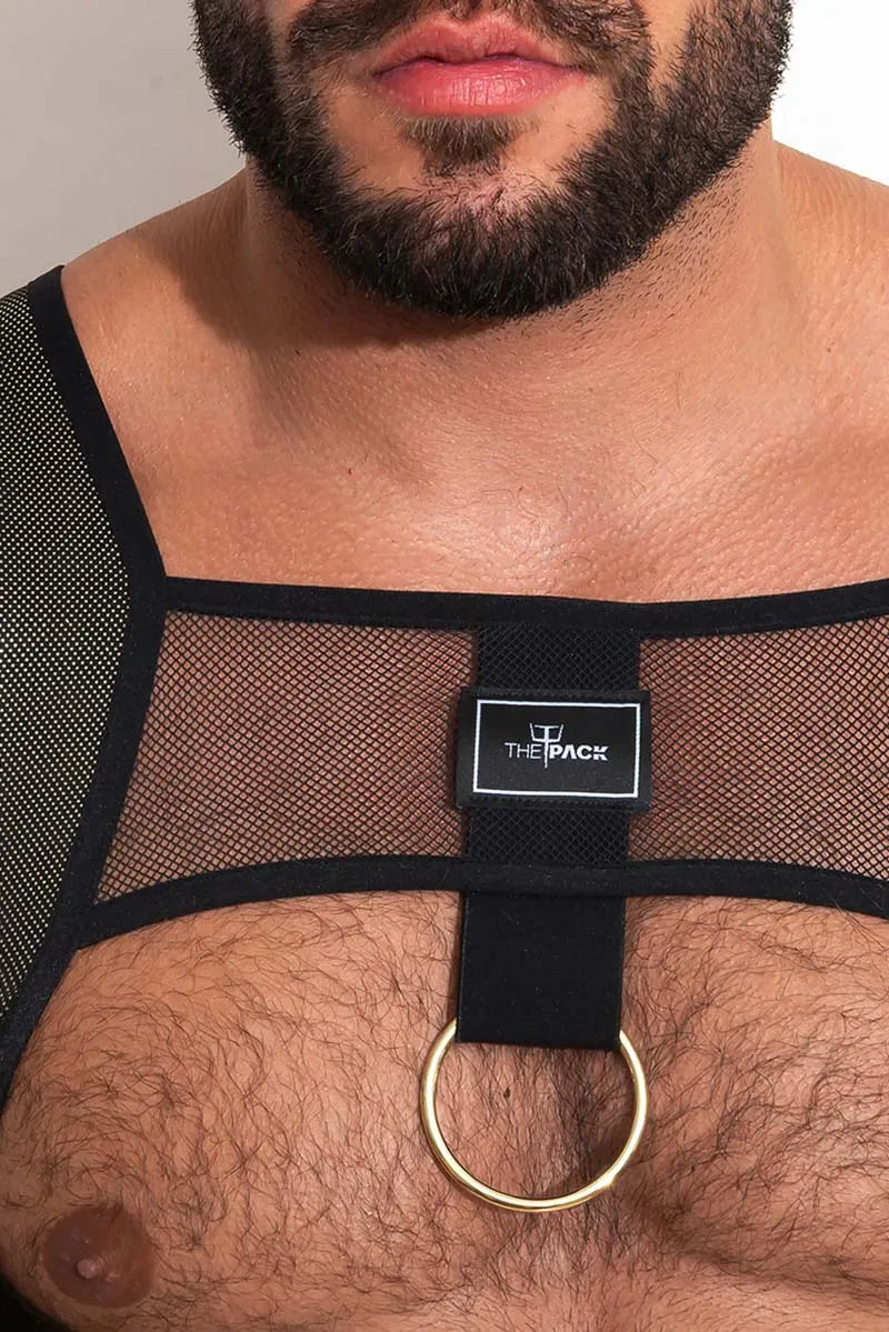 Aurelius Harness /Gold
