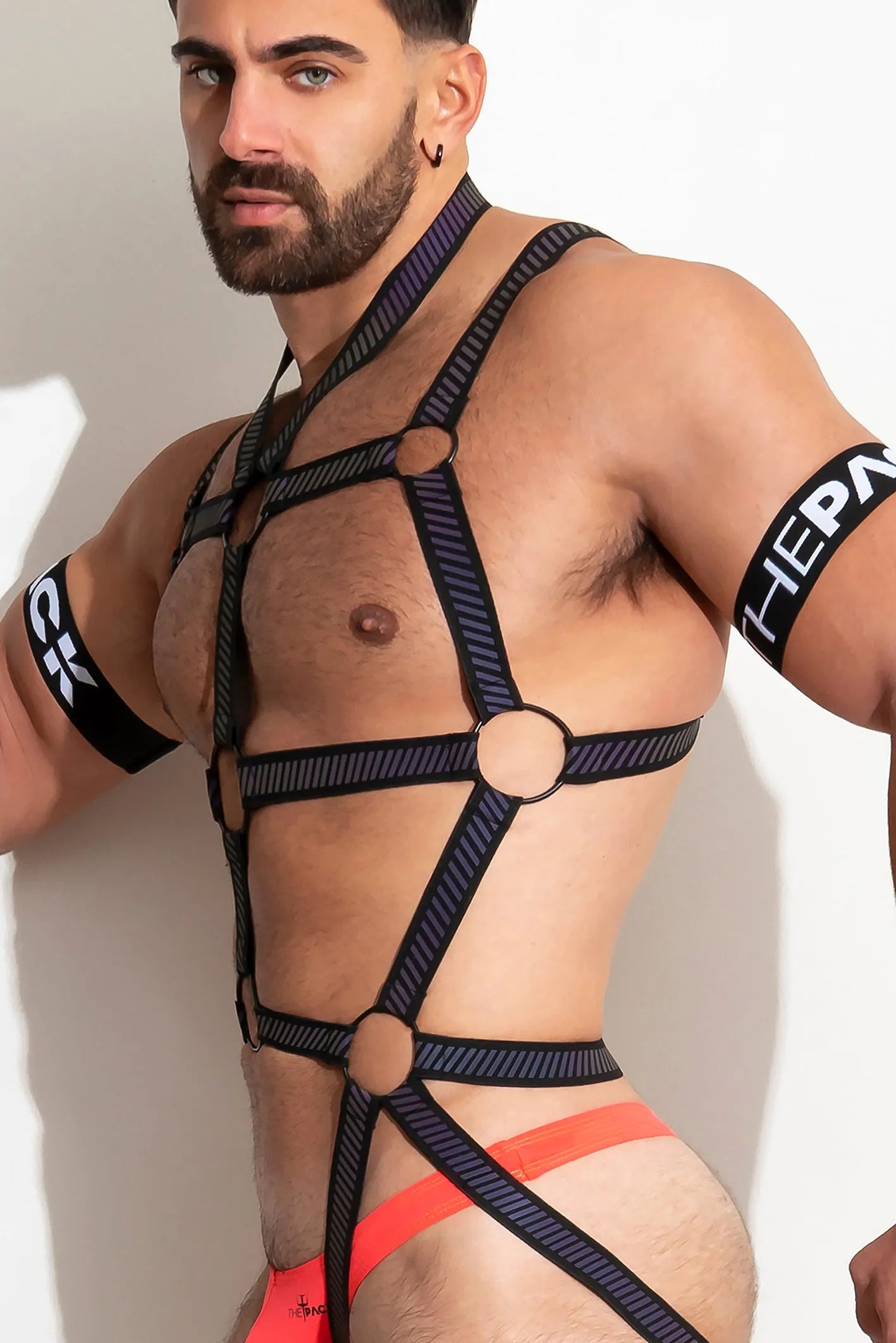 FlashTECH Body Harness /Black