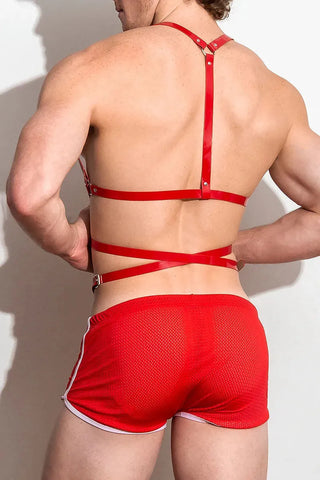 Hendrik Harness vᴸᵀᴴᴿ /Red, ThePack Underwear