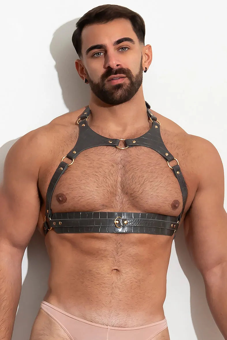 PLEASURE Chest Harness vᴸᵀᴴᴿ /Taupe