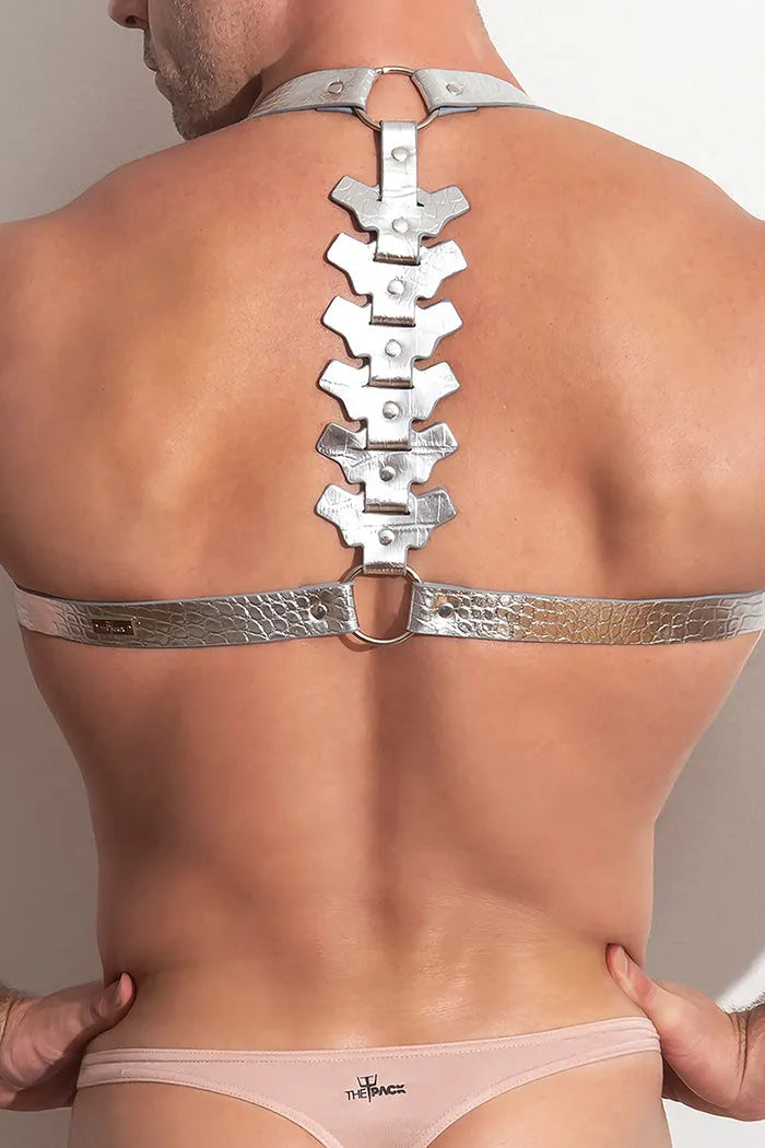 PLEASURE _SVR Spine Harness vᴸᵀᴴᴿ
