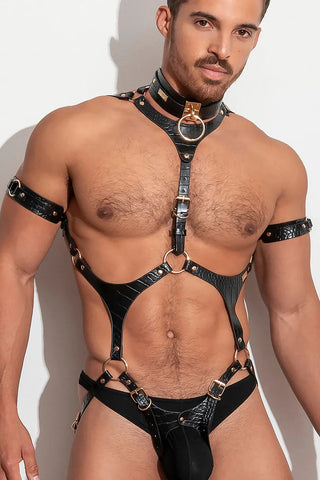 PLEASURE Body Harness vᴸᵀᴴᴿ