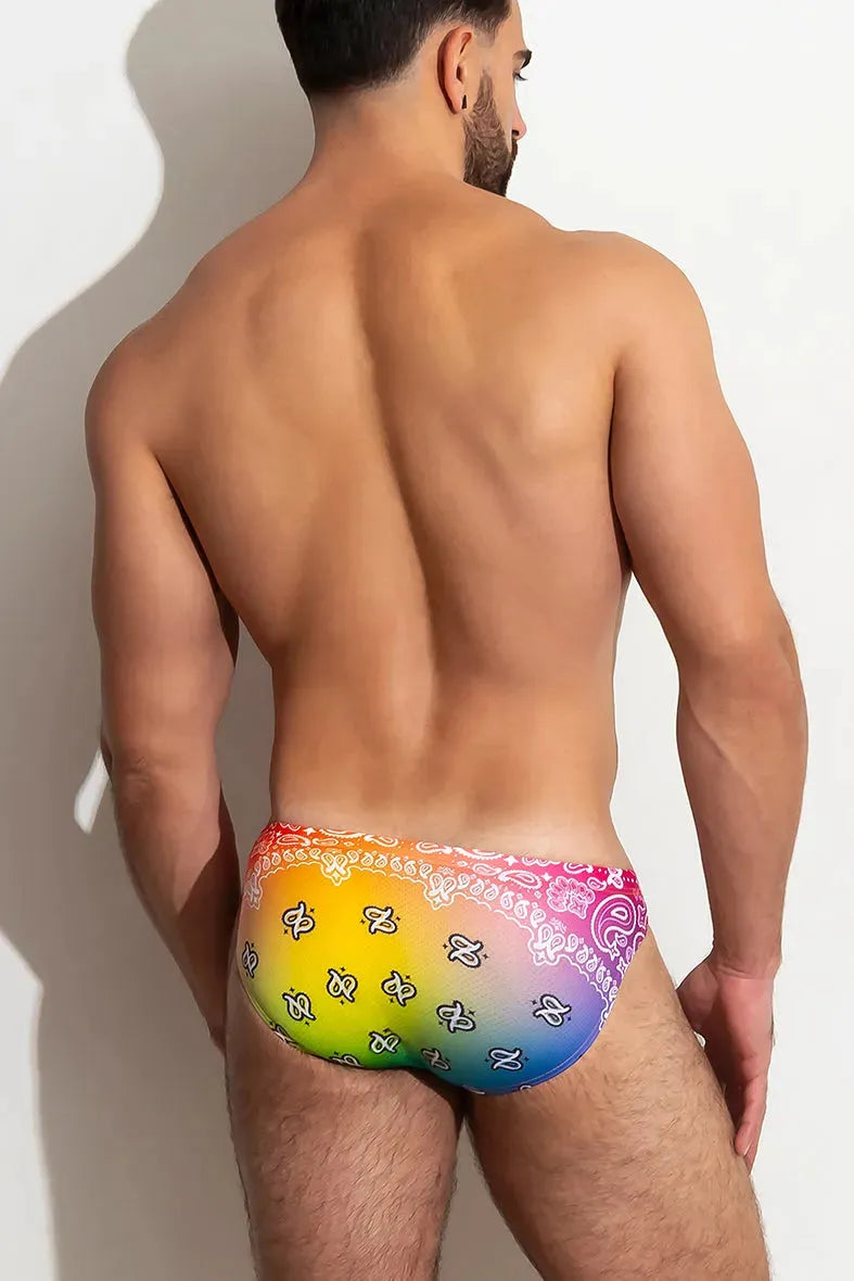 PRIDE Brief