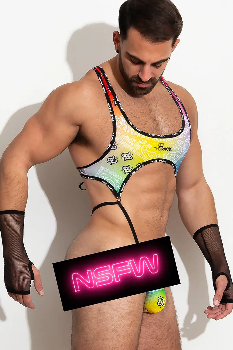 PRIDE Bodice