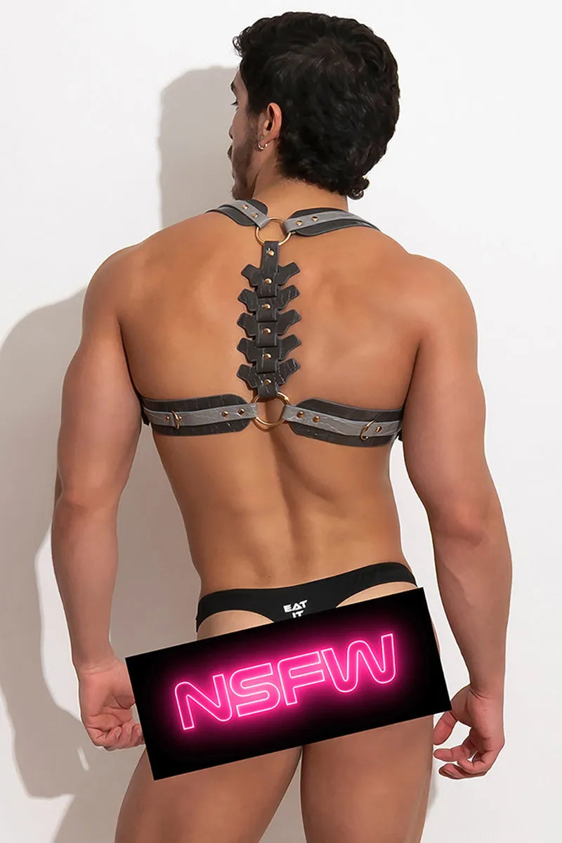 SS26 PLEASURE Spine Harness vᴸᵀᴴᴿ /Taupe