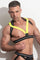 BKK Harness /Black-Yellow