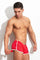 ICON Shorts /Red