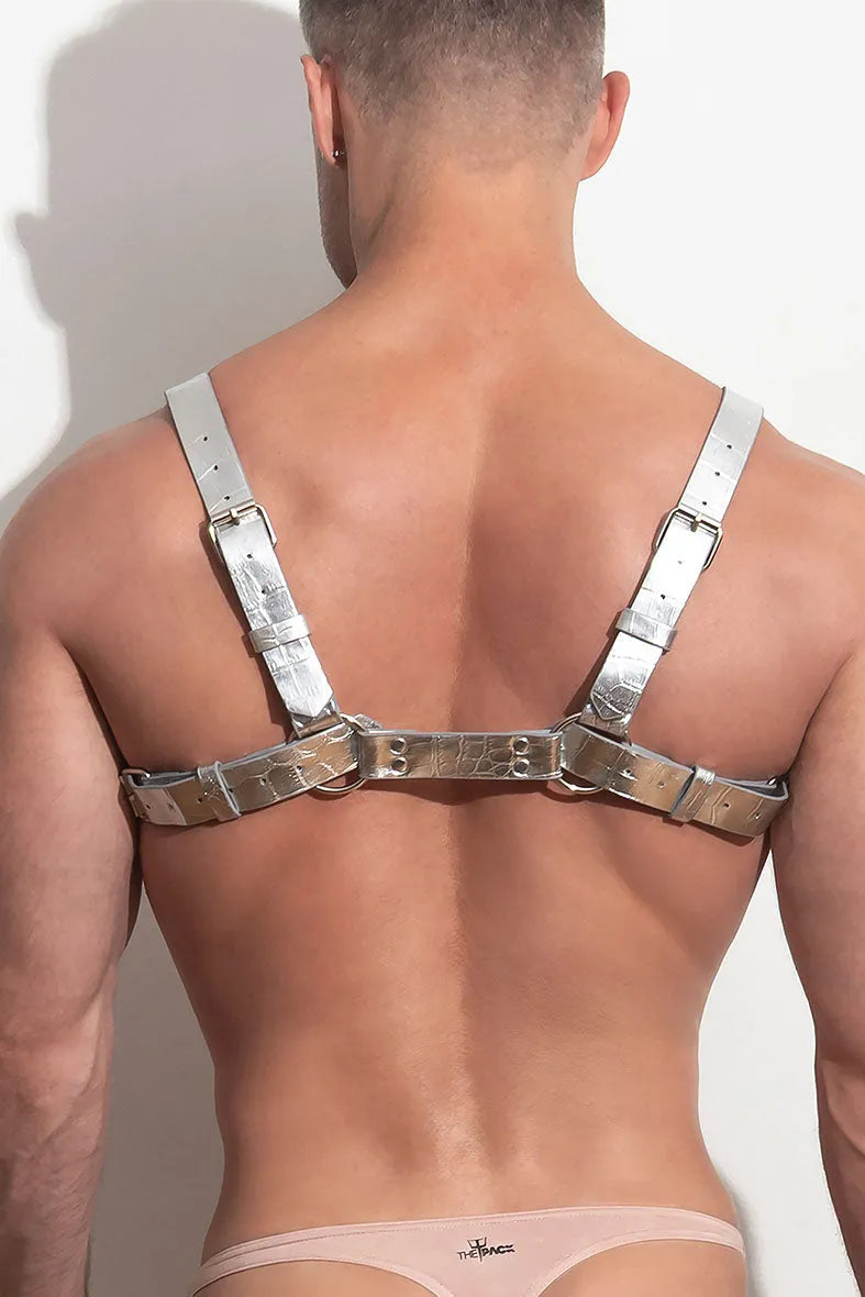PLEASURE _SVR Chest Harness vᴸᵀᴴᴿ