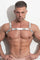 PLEASURE _SVR Chest Harness vᴸᵀᴴᴿ