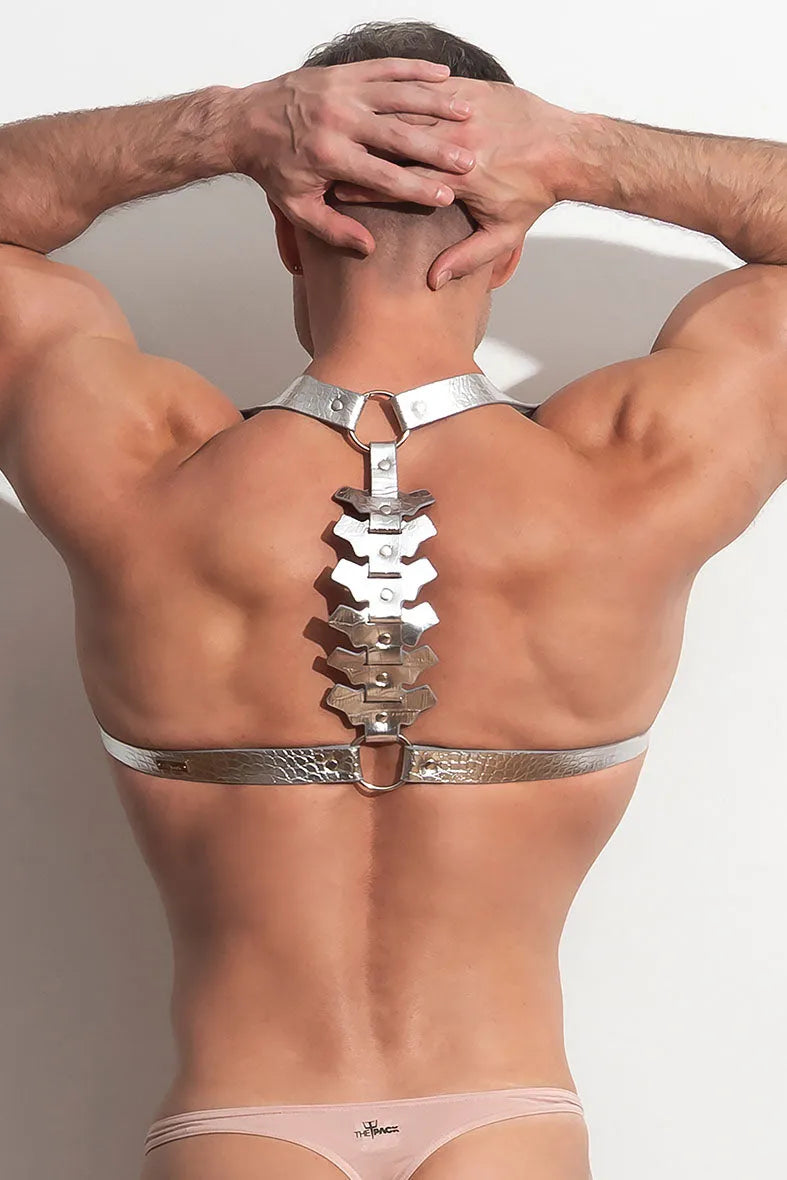 PLEASURE _SVR Spine Harness vᴸᵀᴴᴿ