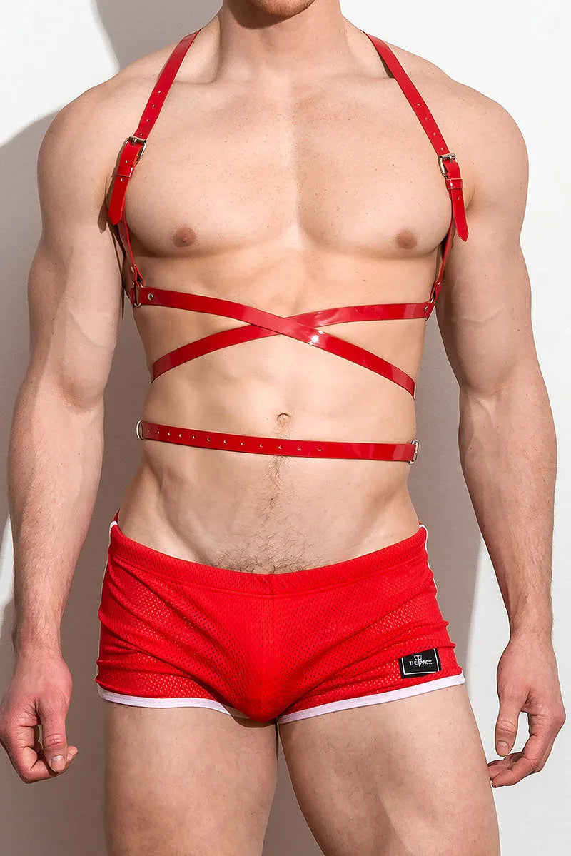 Hendrik Harness vᴸᵀᴴᴿ /Red, ThePack Underwear