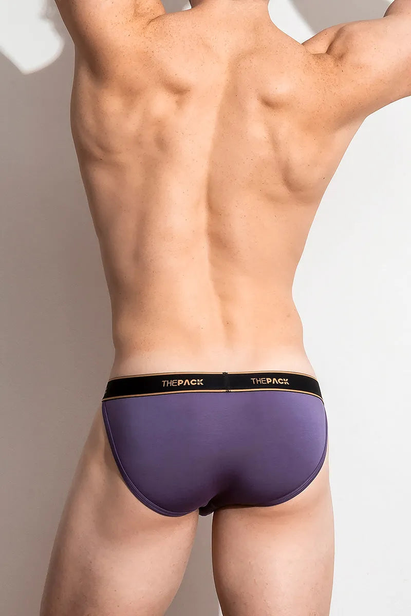 Hero Sport Brief ⱽᴾᴸ /Purple Rain, ThePack Underwear