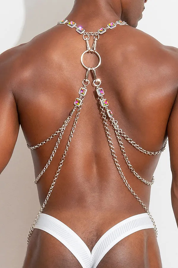 Taylor Chain Harness Silver 2
